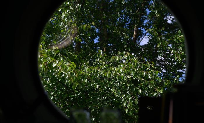 The views from inside are pretty good too!